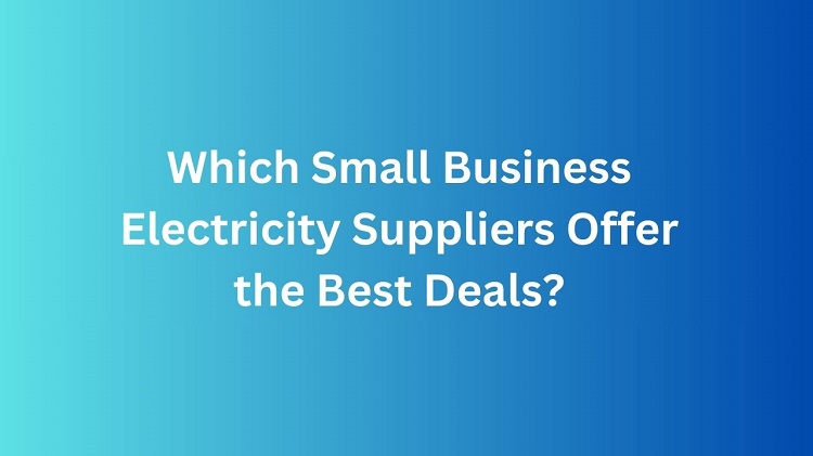 small business electricity suppliers